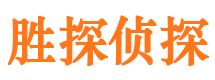 日土私人侦探